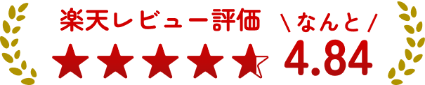 楽天レビュー1位